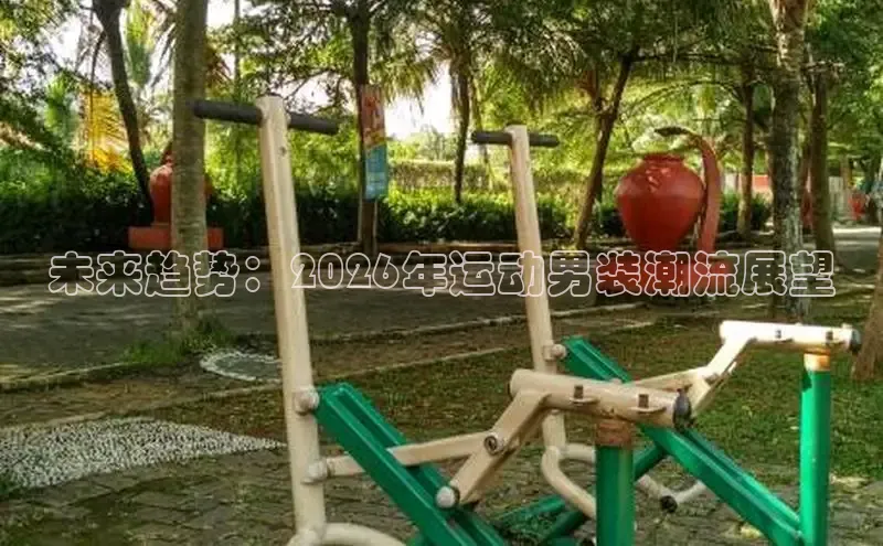 球速体育比分